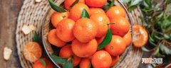 沙糖桔的来历
