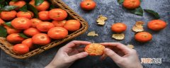 橘子储存怕冷还是怕热