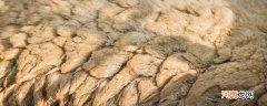 复合羊皮是什么材质