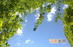 2022年7月哪天出梅 2022年7月几号出梅