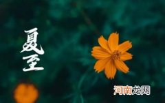 什么节气是入伏第一天 入伏是从哪个节气开始