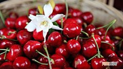 JJ级车厘子有多大