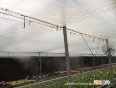 大棚种植喷雾加湿系统 江油大棚喷雾加湿