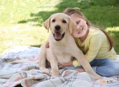 适合小朋友养的小型犬 适合小朋友养的狗十大排名