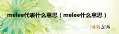 melee什么意思 melee代表什么意思