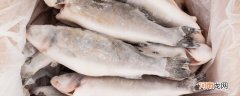 冷冻的鱼可以放多久