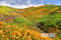 2023年爸爸姓张女儿叫什么好听 兔年带有文学典故的名字