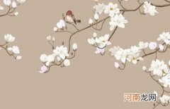 2022年罗姓男孩名字大全属虎 罗姓虎宝宝取名最好的字