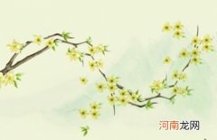 2023年名字带草字头的女宝宝名字 兔年五行属木的起名