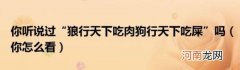 你怎么看 你听说过“狼行天下吃肉狗行天下吃屎”吗