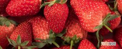 催熟草莓和正常草莓的区别