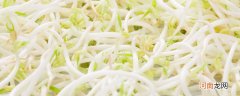 银芽是什么菜