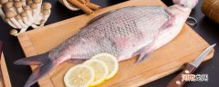 鱼可以冷冻吗