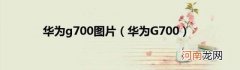 华为G700 华为g700图片