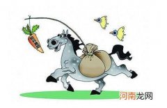 创业型公司 创业型公司是什么意思