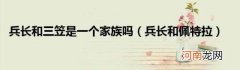 兵长和佩特拉 兵长和三笠是一个家族吗