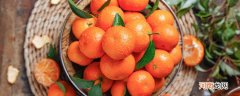 粑粑柑和沙糖桔的区别