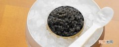 鱼子酱是什么鱼