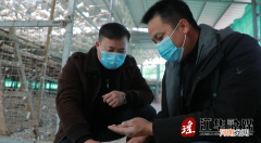 回家乡创业 回家乡创业什么项目好