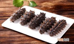 乌参和海参的区别