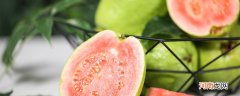 番石榴和芭乐的区别