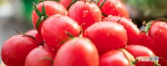 西红柿可以放冰箱吗