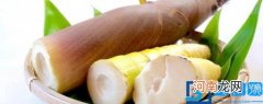 竹笋的做法 竹笋怎么做法