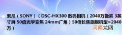 SONY 2040万像素3英寸屏50倍光学变焦24mm广角)50倍长焦旗舰机型=2040万 索尼(DSC-HX