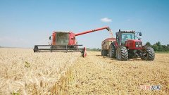 五常大米产地哪里