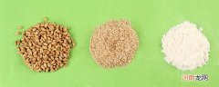 小麦粉和全麦粉有什么区别