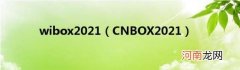 CNBOX2021 wibox2021