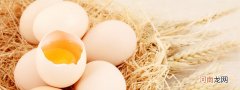 玉子是什么食物