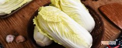 龙牙菜和白菜有什么区别