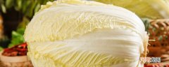 龙牙菜是白菜吗