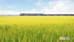 浩吉铁路是哪里到哪里的