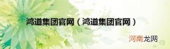 鸿道集团官网 鸿道集团官网
