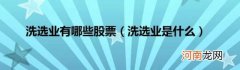 洗选业是什么 洗选业有哪些股票