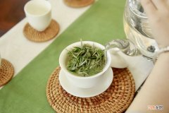 冷泡白茶，新时尚