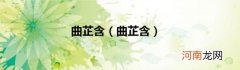 曲芷含 曲芷含