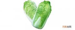 包菜和白菜的区别