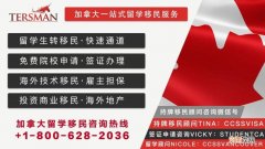 创业移民公司 创业移民公司电话