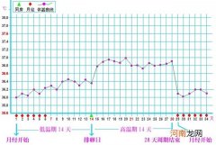 为什么要测基础体温昵 基础体温曲线