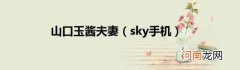 sky手机 山口玉酱夫妻
