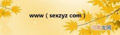 sexzyzcom www