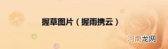 握雨携云 握草图片
