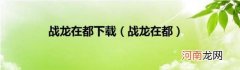 战龙在都 战龙在都下载
