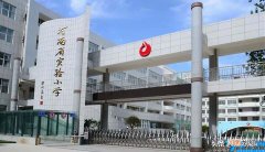 郑州金水区重点小学有哪些 郑州金水区小学排名榜