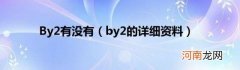 by2的详细资料 By2有没有