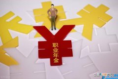 职业年金退休后领取标准 职业年金养老保险缴费比例