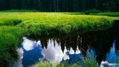 女职工权益保障法全文 女职工权益保护相关法律法规